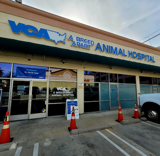 VCA A Breed Apart Animal Hospital