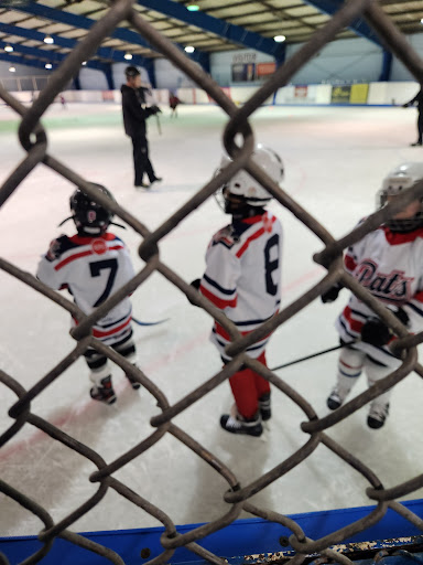 Optimist Arena - Visual