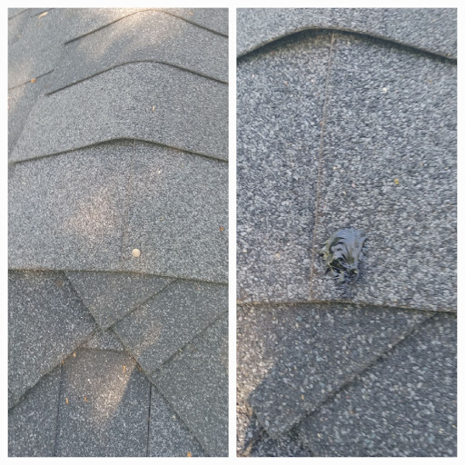 Roofing Randy - Thumbnail