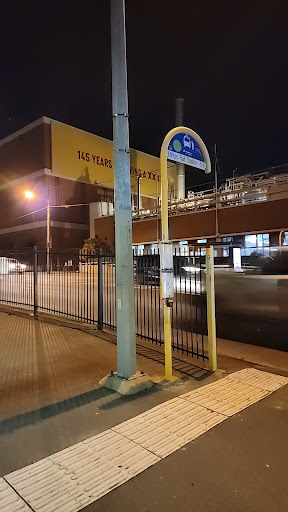 Milton Rd at Cribb St, stop 5 - Thumbnail