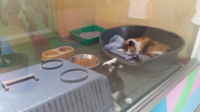 Photos of Animal Anti-Cruelty League
