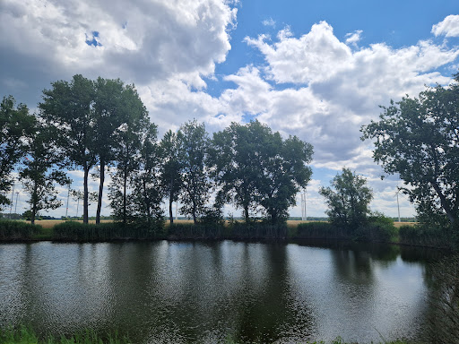 Uebigauer Baggerteich - Visual