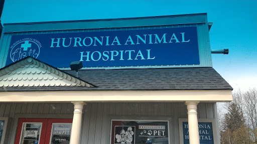 Huronia Animal Hospital - Thumbnail