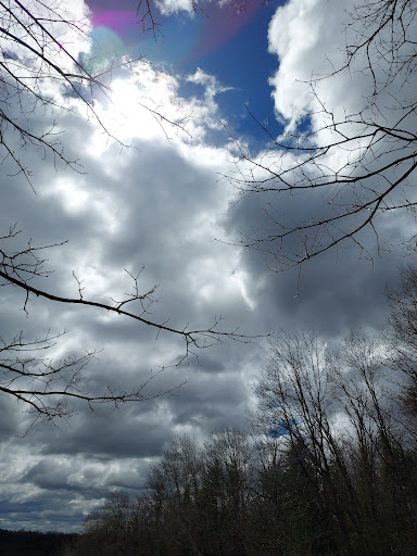 Houghton Land Preserve - Thumbnail