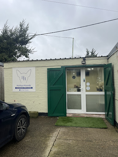 Harleys Hounds LTD