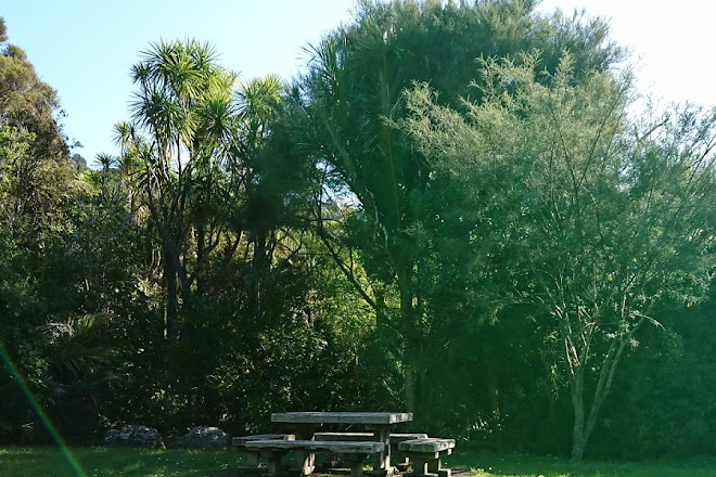 Visit Kitekite Falls On Your Trip To Piha Or New Zealand Inspirock