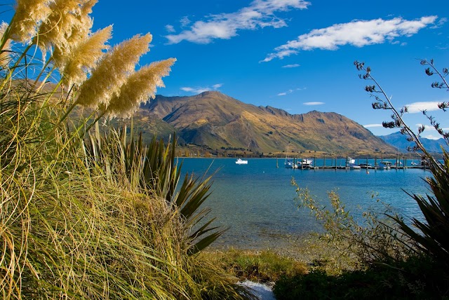 Wanaka Lakefront
