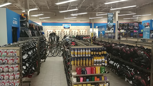 Houle Sports Excellence Gallery - Canada