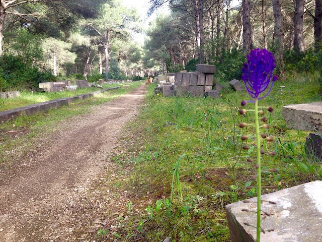 Porto Selvaggio Beach