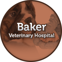 Baker Veterinary Hospital