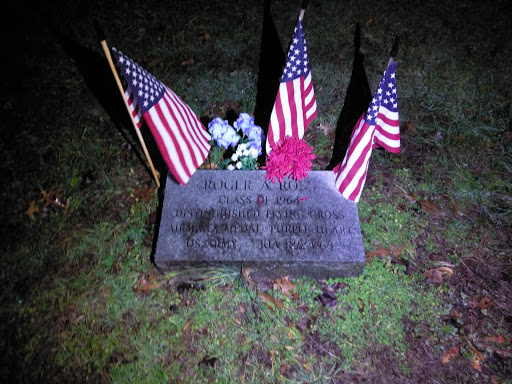 Memorial Fields - Visual