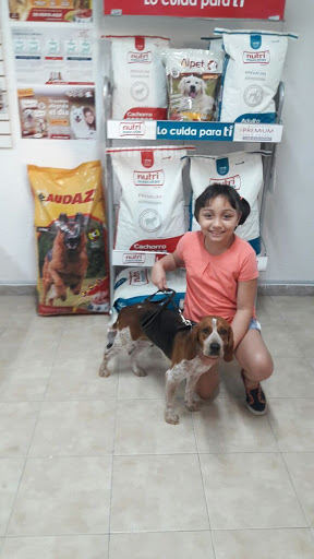 Veterinaria Happy Pets Club
