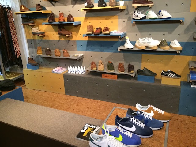 Oi Polloi
