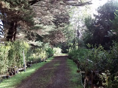 Photos of Vivero Pilmaiquen