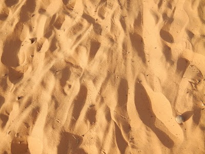 Photos of Nsofang Africa Tour