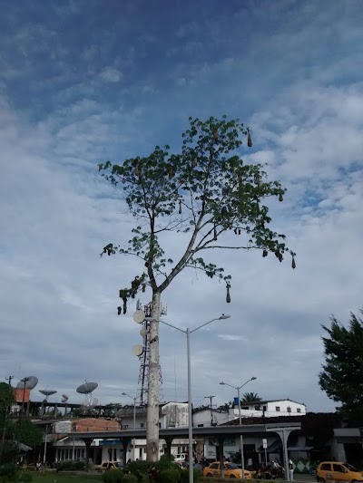 Photos of Parque Centenario Puerto Asis