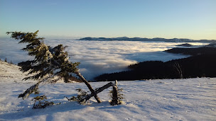 Photo n°6 de PtitMonde à Ban-sur-Meurthe-Clefcy (Hébergement de groupe)