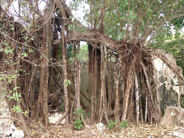 Les Marches Aux Esclaves