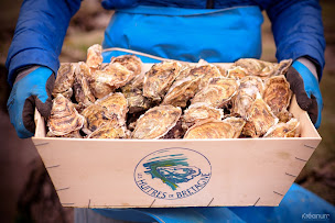 Photo n°23 de Huîtres Morvan - Halles de Concarneau à Concarneau (Élevage de fruits de mer)