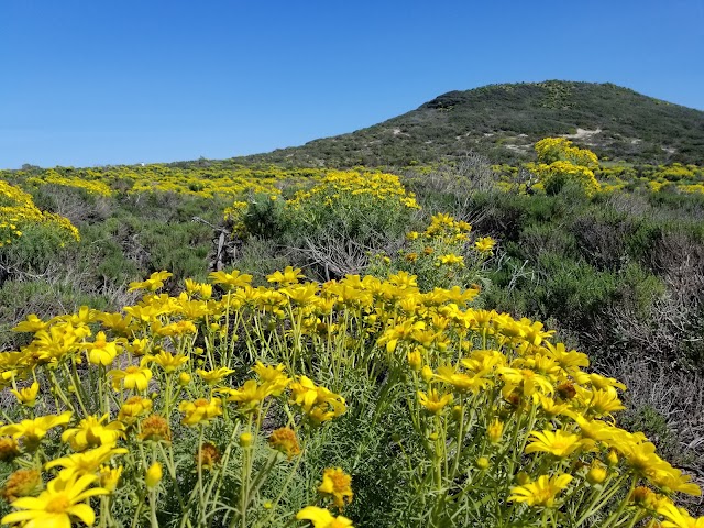 Point Dume