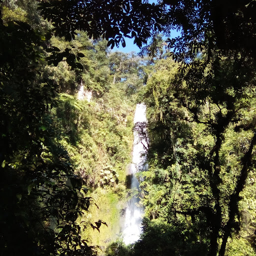 Cascada Rincón De Judas - Thumbnail