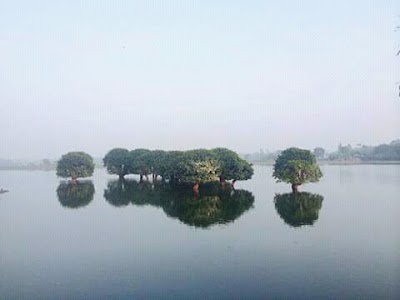 Photos of Tonussre Enterprise Limited