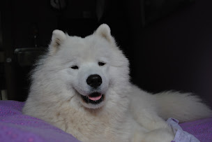 Photo n°8 de Domaine de Quéant à Quéant (Ferme pédagogique)