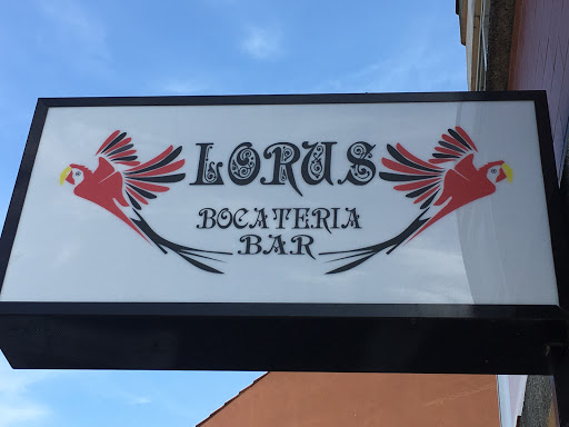 Lorus - Visual