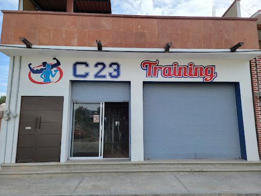 C23 Training - Visual