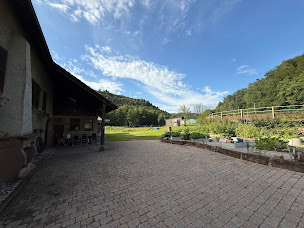 Photo n°44 de Domaine équestre du Trèfle d'Or, Gîte et Chambres d’hôtes à Soucht (Hôtel)