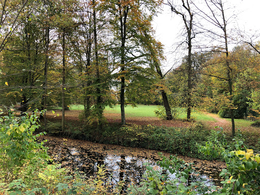 Heidpark - Visual