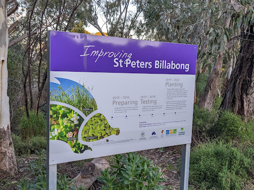 St. Peters Billabong - Thumbnail