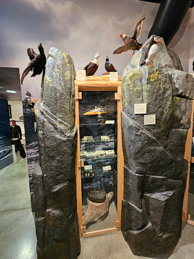 Museum of the Aleutians - Thumbnail