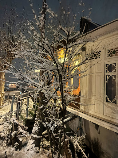 Gallery image 24