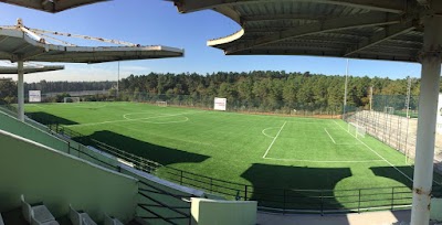 Çekmeköy Gençlik Hizmetleri Ve Spor İlçe Müdürlüğü Sentetik Çim Yüzeyli Futbol Stadı