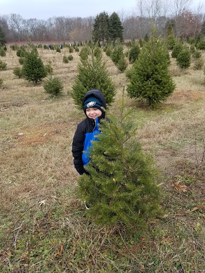Photos of Belly Acres Christmas Tree Farm