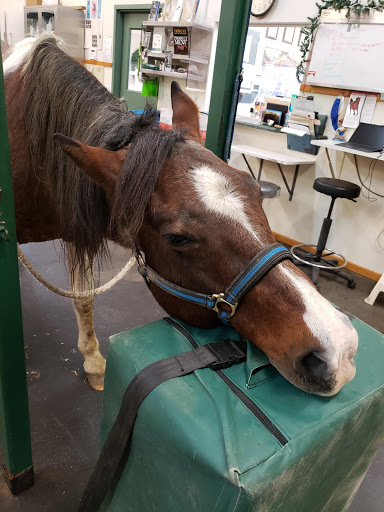 Beadle Lake Veterinary Clinic - Thumbnail