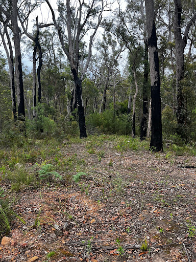 Top Lake, Mallacoota Inlet