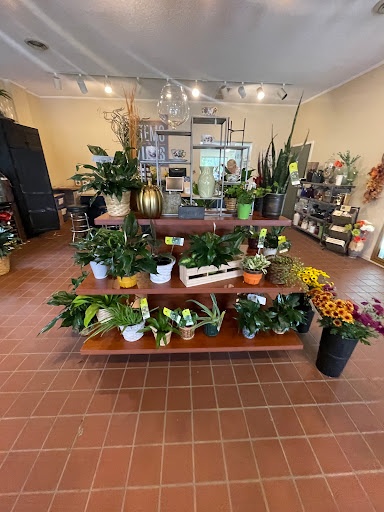 Stems & Vines Floral Boutique - Thumbnail
