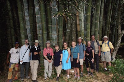 Photos of MADAGASCAR ENDEMICS & RESORTS