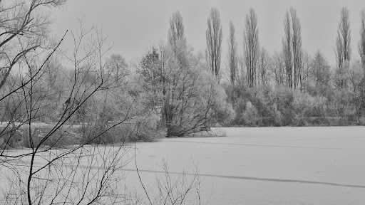 Oderparksee - Visual