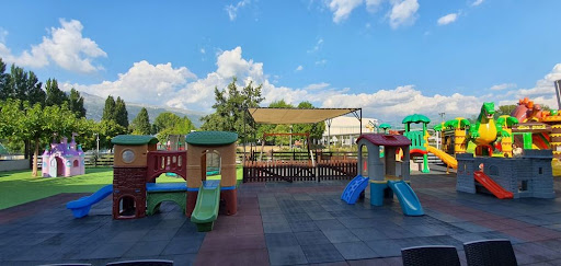 PLAY HALL - Visual