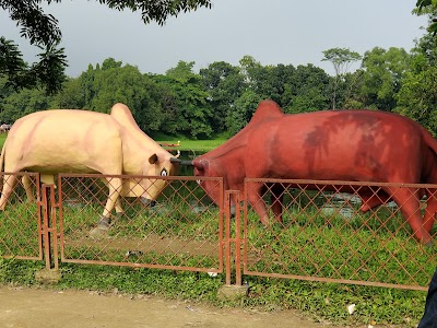 Photos of Sonargaon Folk Art and Craft Museum