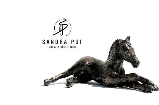 Sandra Pot - Visual
