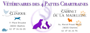Photo n°29 de Clinique Vétérinaire Univet des 4 Pattes Drouaise - Chartres à Chartres (Vétérinaire)