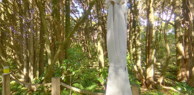 Fern and Feather Retreat Phone number