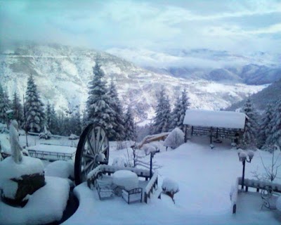 Photos of Hotel Alpin Dardhe Puke