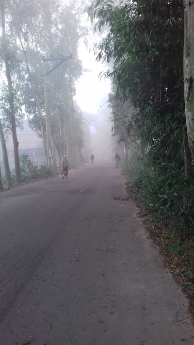 Photos of Kazi Street head