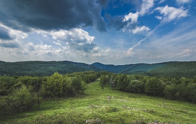 Photos of &Aacute;llatpark M&aacute;traszentimre