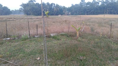 Photos of Laxmipur ,Laskar hat,Fenisadar.